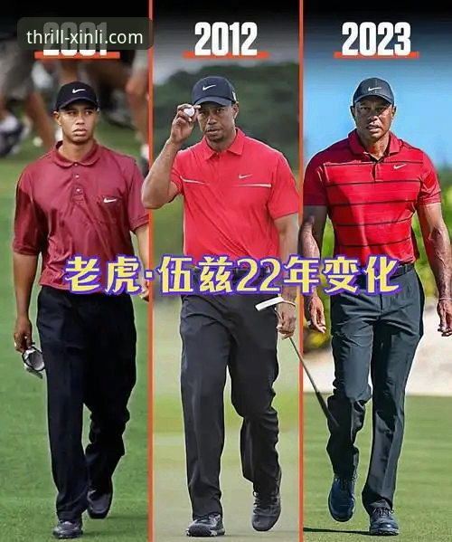 老虎伍兹退赛风波：深度剖析药物影响驾驶事件与职业生涯转折