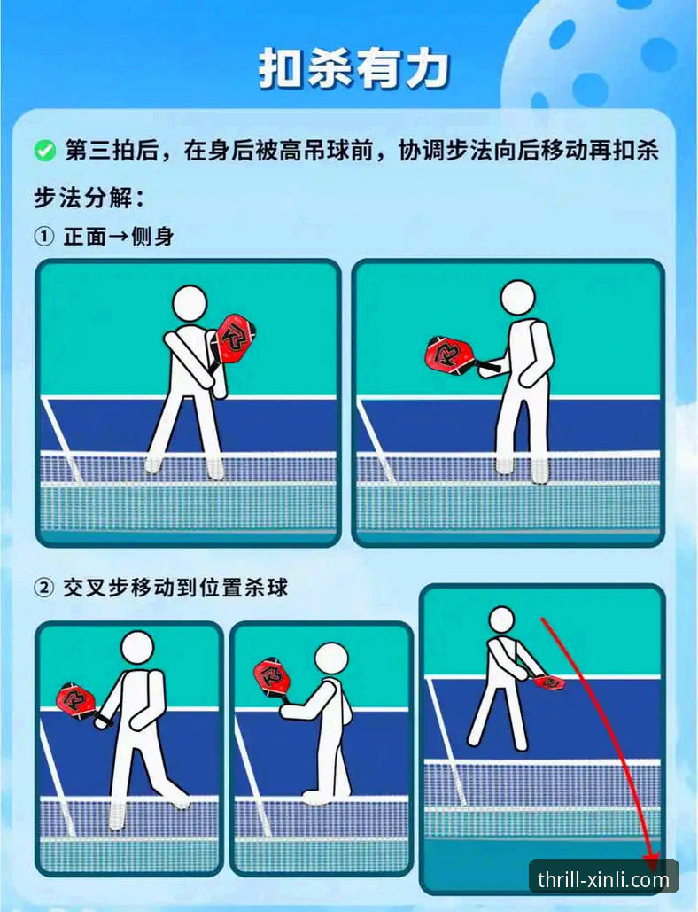 新手如何快速上手新利体育平台？一份完整的使用教程